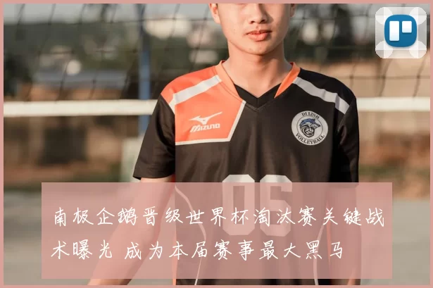 南极企鹅晋级世界杯淘汰赛关键战术曝光 成为本届赛事最大黑马