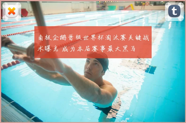 南极企鹅晋级世界杯淘汰赛关键战术曝光 成为本届赛事最大黑马