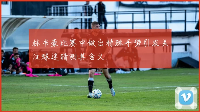 林书豪比赛中做出特殊手势引发关注球迷猜测其含义