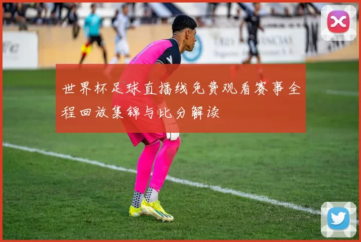 世界杯足球直播线免费观看赛事全程回放集锦与比分解读