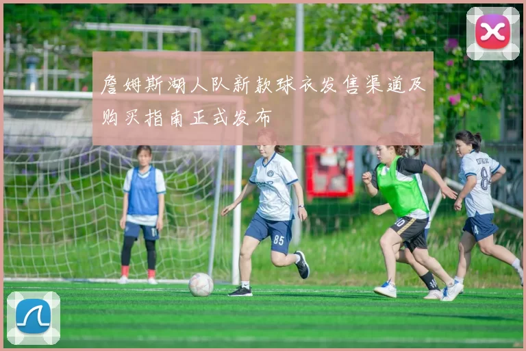 詹姆斯湖人队新款球衣发售渠道及购买指南正式发布