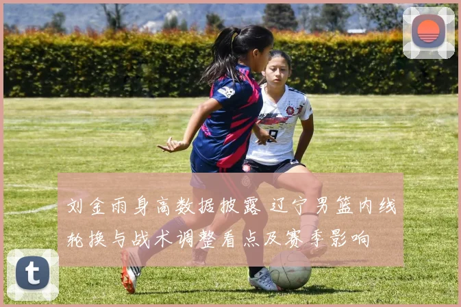 刘金雨身高数据披露 辽宁男篮内线轮换与战术调整看点及赛季影响