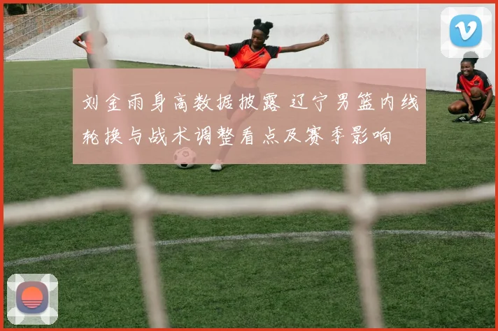 刘金雨身高数据披露 辽宁男篮内线轮换与战术调整看点及赛季影响