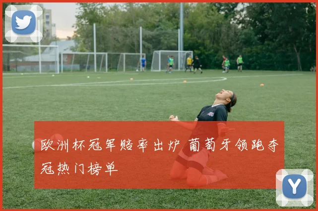 欧洲杯冠军赔率出炉 葡萄牙领跑夺冠热门榜单