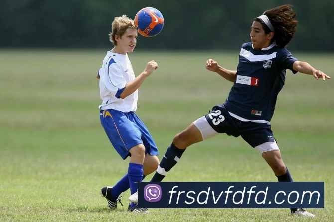 k1体育网页版登录入口 - k1体育(中国)平台生态图